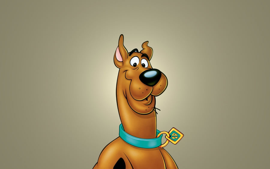 The importance of cash flow in small business: The Scooby Doo cash flow example - Latest Advice from Wagner Mason